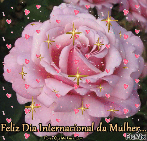 Dia_Internacional_da Mulher_006.gif